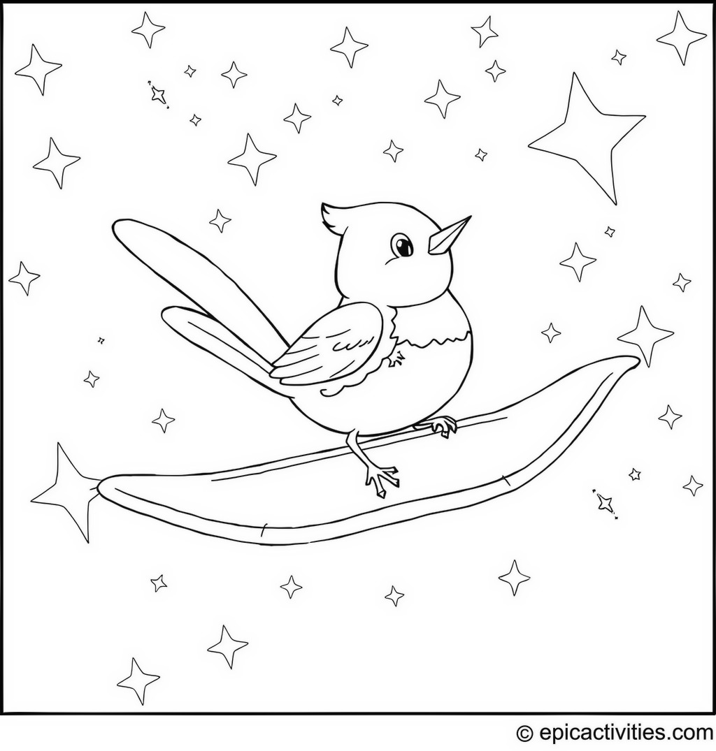Coloring page of a Cartoon Robin Riding a Magic Carpet in a Starry Night Sky
