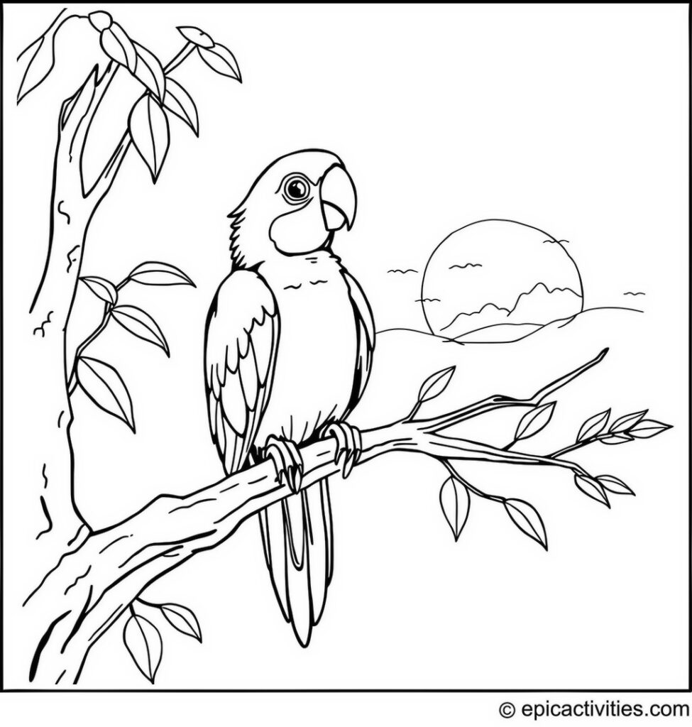 Coloring page of a cute parrot on a branch at sunset