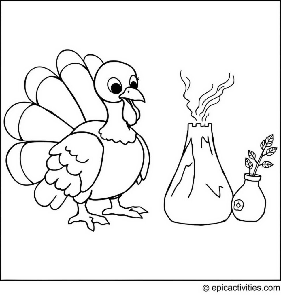 Coloring page of a Cute Turkey at a Volcano Science Fair Project