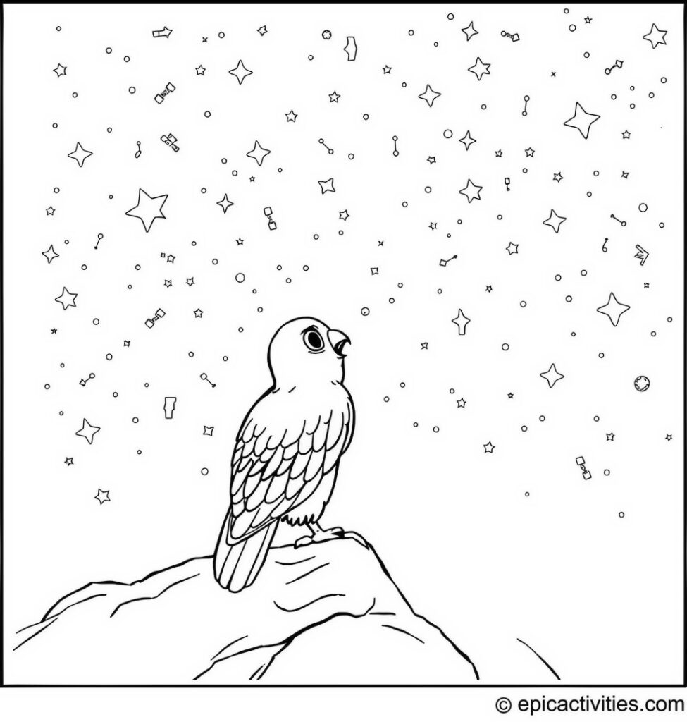 Coloring page of a Falcon Gazing at Starry Constellations