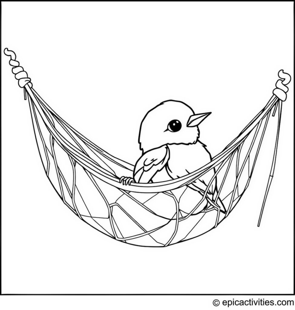 Coloring page of a Cute Bluebird Resting in a Hammock Made of Spider Silk