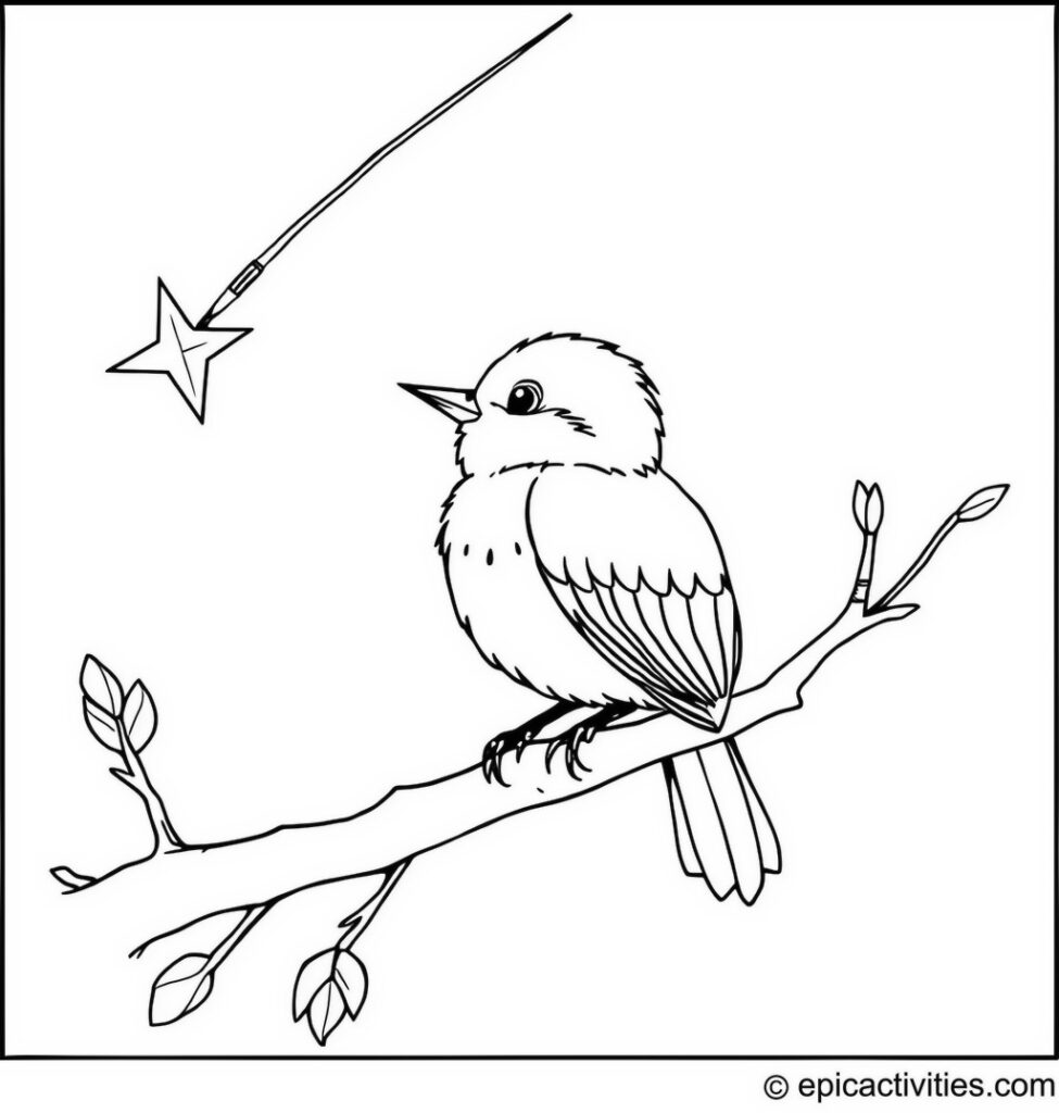 Coloring page of a Cute Bluebird Watching a Shooting Star